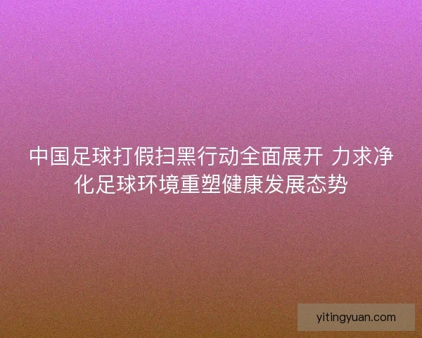 中国足球打假扫黑行动全面展开 力求净化足球环境重塑健康发展态势
