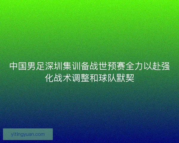 中国男足深圳集训备战世预赛全力以赴强化战术调整和球队默契