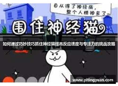 如何通过巧妙技巧抓住神经猫提高反应速度与专注力的挑战攻略